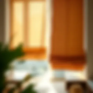 Custom-Made Roman Shades Custom-made roman shades showcasing unique design elements