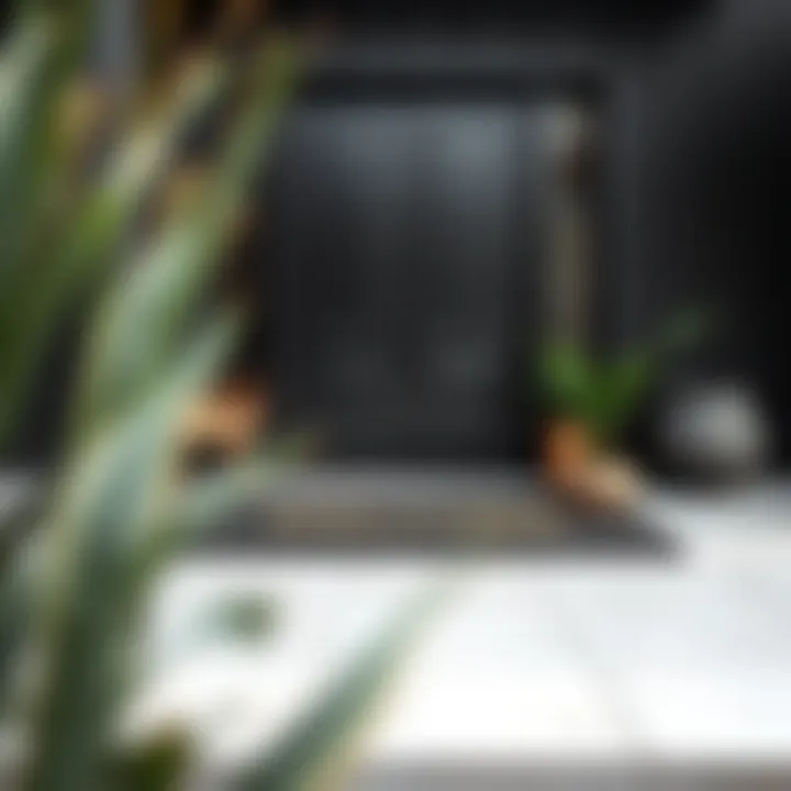 Modern Aesthetic of Black Welcome Mats Black welcome mat with contemporary design