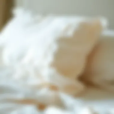 Sheet Maintenance Tips Caring for bed sheets with washing instructions