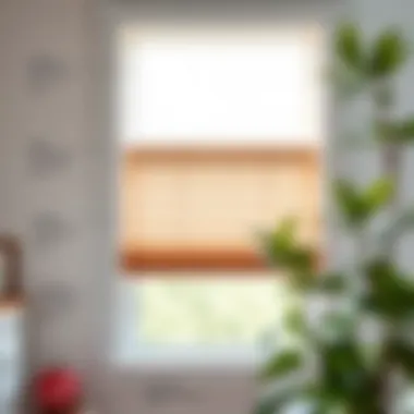 Installation Guide for Motorized Blinds A detailed schematic illustrating the installation of motorized blinds