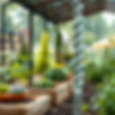 Community garden promoting collective water conservation efforts