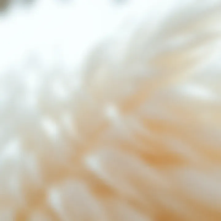 Softness Defined: Close-up of Duck Feathers Close-up view of duck feathers showcasing softness