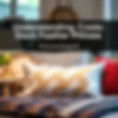 Understanding Costs: Pricing Range for Duck Feather Pillows Infographic displaying pricing range for duck feather pillows