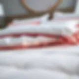 Elegant king size comforter cover with zipper detail