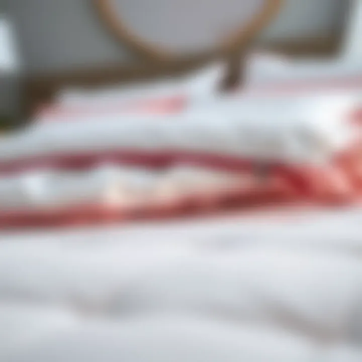 Elegant Design of King Size Comforter Cover Elegant king size comforter cover with zipper detail