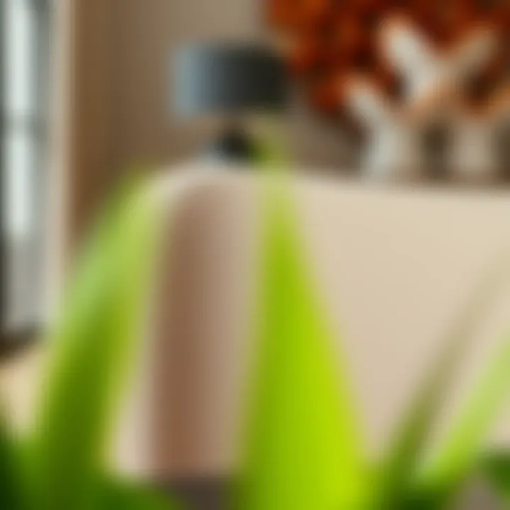 Close-up of Modern Dining Seat Close-up of a beautifully crafted seat from a modern dining set