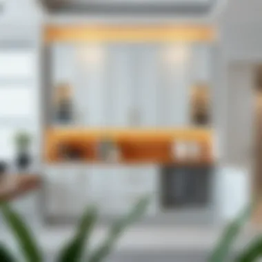 Modern Ready-Made Cabinet Design Elegant ready-made cabinet design showcasing modern aesthetics