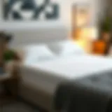 Detailed overview of Sleep Number replacement pad types