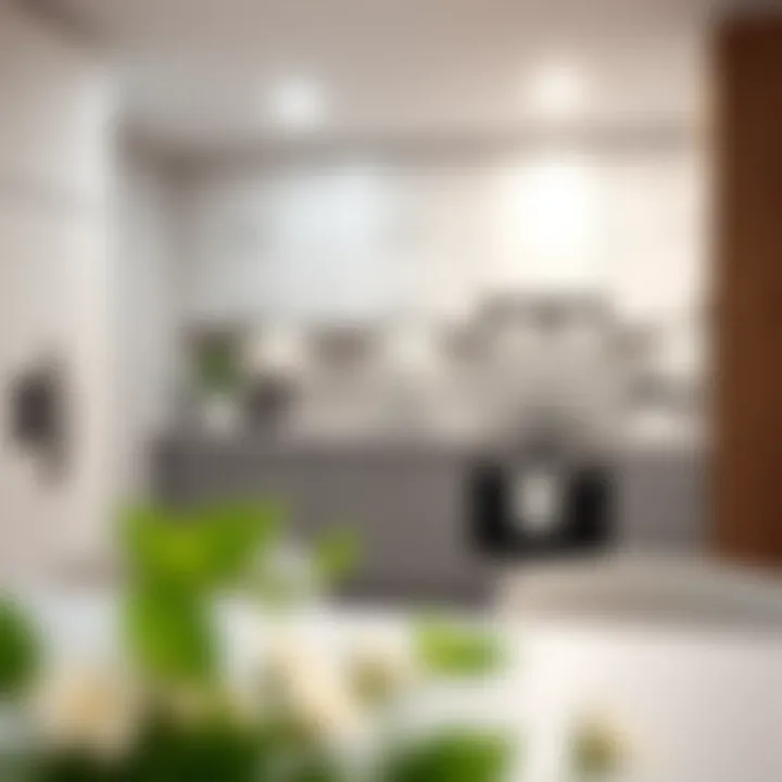 Modern Kitchen with Soft Close Hinges Modern kitchen showcasing cabinets with soft close hinges