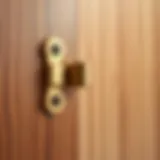 Elegant soft close hinge on a wooden door