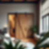 Elegant single bypass double door barn door hardware kit in a modern setting
