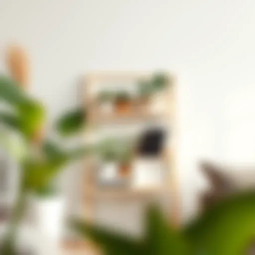 Minimalist small folding shelf adorned with potted plants and books