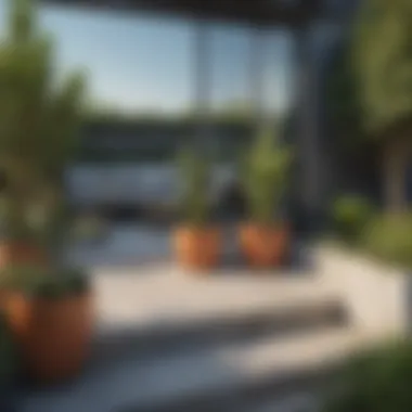 Outdoor Garden with Extra Wide Plant Pots An outdoor garden setup featuring extra wide plant pots, illustrating placement strategies for aesthetic appeal.