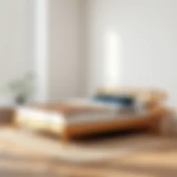 Elegant low-profile twin size bed frame in a minimalist bedroom