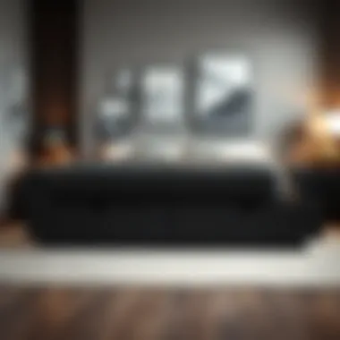 Contemporary Bedroom Design with Storage Contemporary bedroom themed decor with a black queen bed with drawers