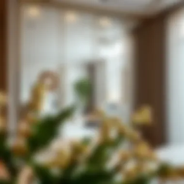 Stylish installation of mirror cabinet doors enhancing home ambiance