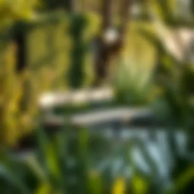 Modern Bench in Nature Contemporary outdoor bench integrated into a garden setting