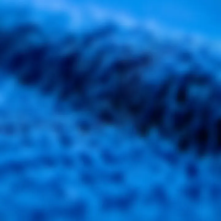 Textures of Royal Blue Carpet Close-up of royal blue carpet texture and fibers