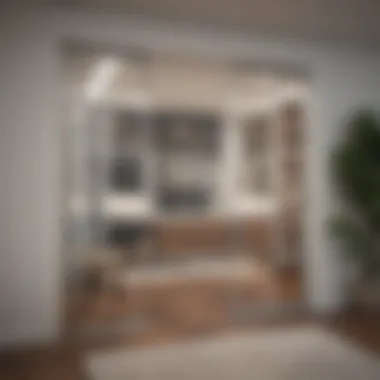 Innovative Custom Designs for Sliding Closet Frames Creative custom designs for sliding closet door frames