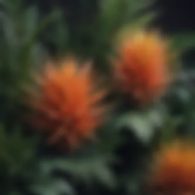 A corner showcasing a variety of spiky plants with unique textures and colors