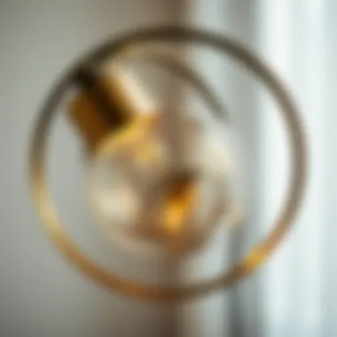 Design Details of an Arched Globe Close-up of a stylish arched globe floor lamp showcasing its design details