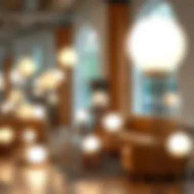 Diverse Styles of Arched Globe Floor Lamps Various styles of arched globe floor lamps displayed in a chic showroom
