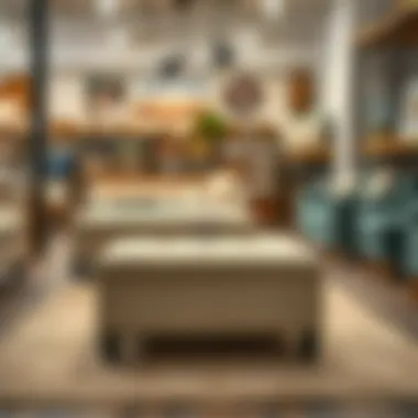 Shopping for Storage Ottomans in a Home Decor Store Shopping for storage ottomans in a home decor store