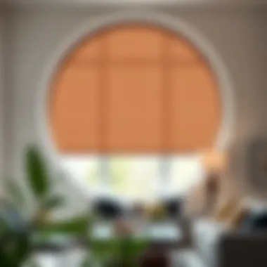 Elegant circle window shade in a modern living room